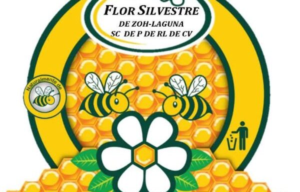 La Flor Silvestre de Zoh-laguna