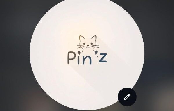 Pin’z